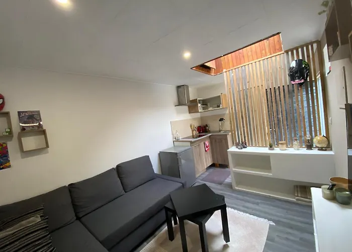 Studio F2 Avec Jardin Proche De Paris