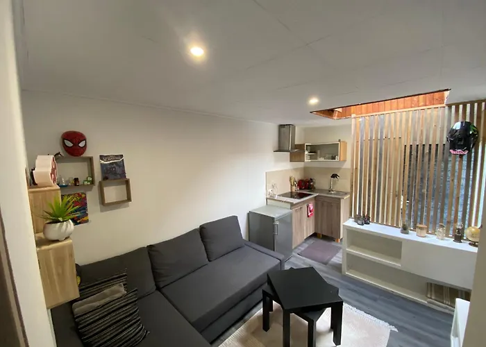 Studio F2 Avec Jardin Proche De Paris